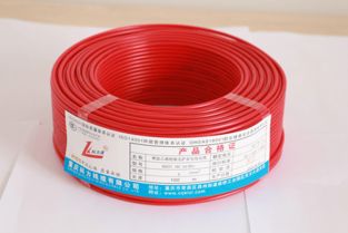 重慶南岸電線電纜工程廠 引領技術開發(fā)與行業(yè)創(chuàng)新